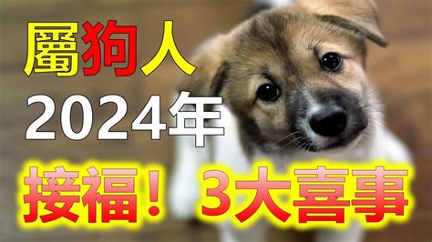 生肖狗 幸運色|【屬狗幸運色】揭秘2024年屬狗必備幸運色！衝破運。